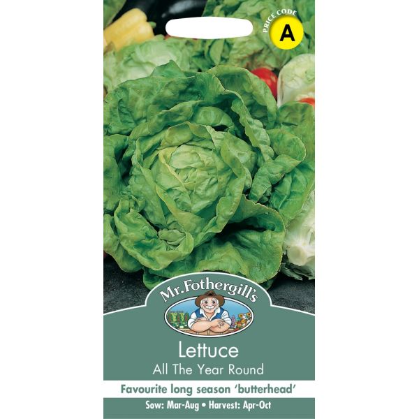 Lettuce All The Year Round Seeds